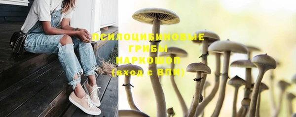 спайс Михайловка