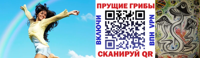 Псилоцибиновые грибы Magic Shrooms  где продают наркотики  мега ССЫЛКА  Туран 