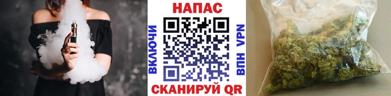 Бошки Шишки планчик  как найти закладки  Туран 